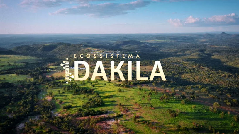 Imagem: Ecossistema Dakila